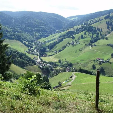 Steiger Lejlighed Münstertal